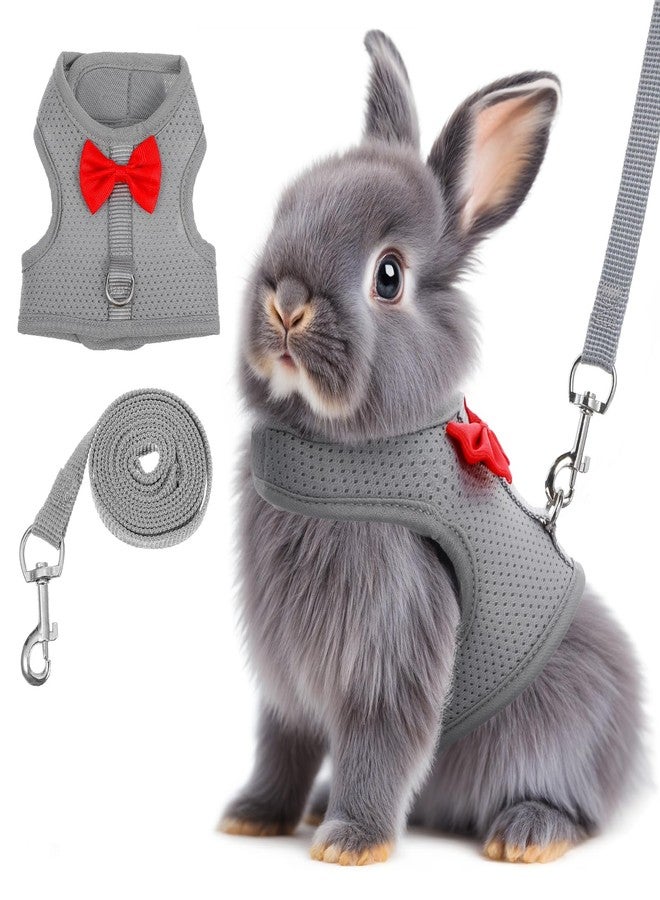 Larrel Rabbit Harness and Leash Set,Bunny Leash for Walking Escape Proof,Bunny Clothes with Cute Bow Mesh Breathable Adjustable Vest Rabbit Harness Camping Hiking Training for Ferret Kitten Puppy (Grey M) - Image 1